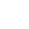btn icon